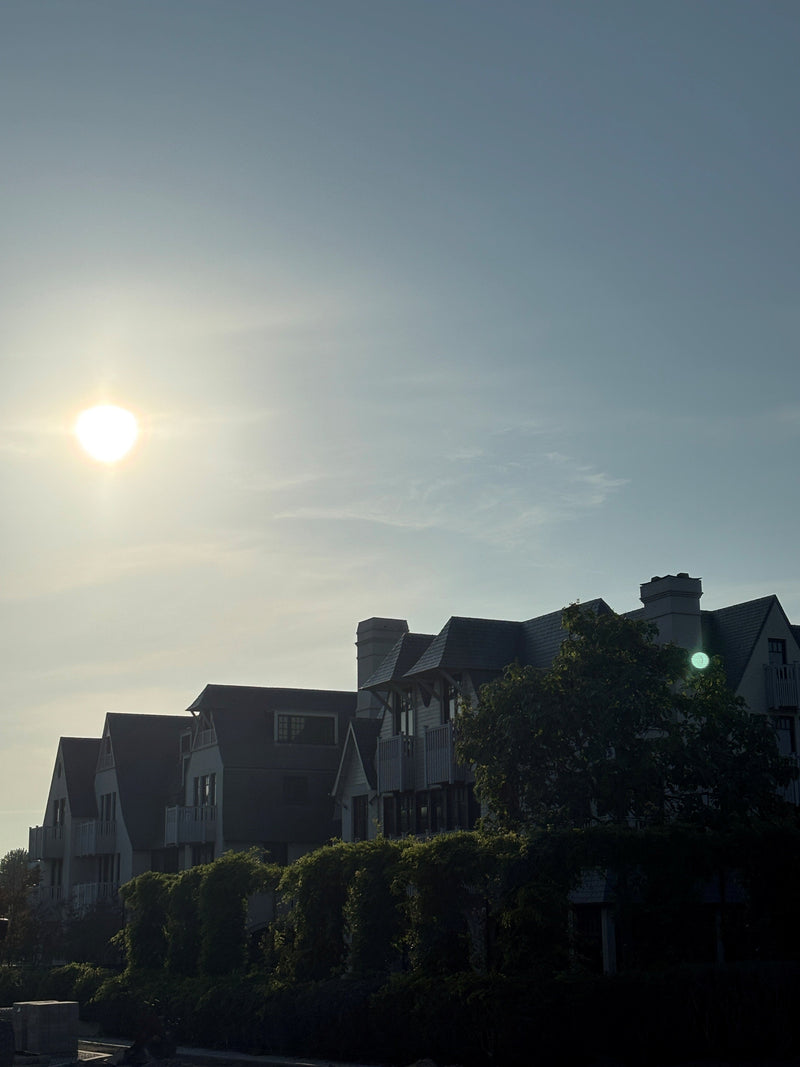 Gemeente Knokke-Heist moet 1.500.000€ toeleggen in ruilovereenkomst door onderwaardering eigen gronden. Mijn bezorgdheden & tussenkomsten tijdens de Gemeenteraad van 25 juni 2026
