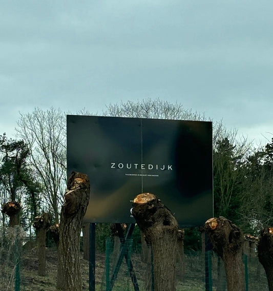 Terugblik op de politieke crisis van 2023: VISTA NOTA: dossier ZOUTEDIJK